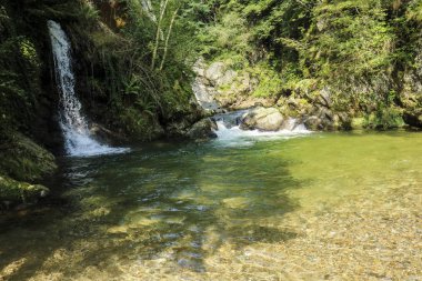 Nehir ve çağlayan su ormanda harikalar yolunda, Ticino kantonu
