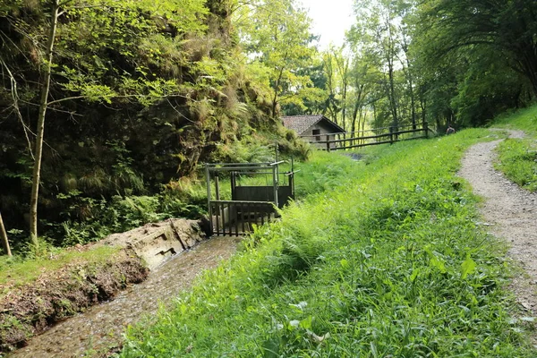 Stream in the woods on the trail of wonders that leads to the mill of the maglio, Canton Ticino