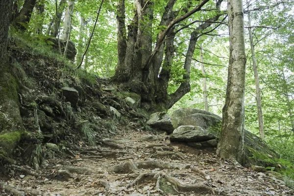 Sendero Las Maravillas Cantón Ticino — Foto de Stock