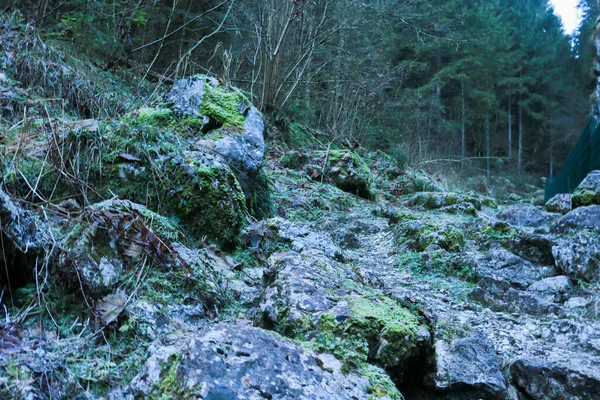 Kameny Pokryté Mechem Lesích Temného Údolí Benátsku Cestování Krajiny Itálii — Stock fotografie