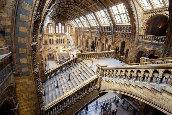 自然史博物館科学標本 のメイン コレクションの 8000 万項目で構成される自然史の標本の広大な範囲を収容するロンドン イギリス 2018 — ストック写真