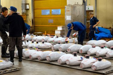 Tokyo, Japonya - 26 Nisan 2018: Tsukiji Market iç alan 6 Ekim 2018 üzerinde kapanış ve nerede bu Toyosu pazar olarak 11 Ekim olmak reopened Toyosu için ilerleme önce artırmada