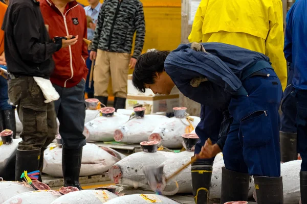 Tokio Japonia Kwietnia 2018 Aukcji Wewnętrznej Powierzchni Targu Tsukiji Przed — Zdjęcie stockowe