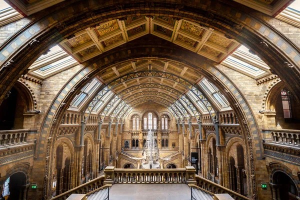 自然史博物館科学標本 のメイン コレクションの 8000 万項目で構成される自然史の標本の広大な範囲を収容するロンドン イギリス 2018 — ストック写真