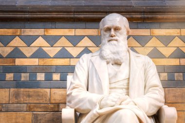 London, Büyük Britanya - 14 Mayıs 2018: efendim Charles Darwin İngiliz doğa bilimci, jeolog ve onun heykeli yer alan ana salonu, doğa tarihi müzede Londra'da biyolog