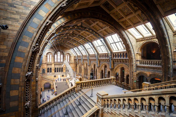 London United Kingdom May 2018 Natural History Museum Houses Vast — Stock Photo, Image