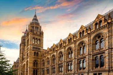 Doğal Tarih Müzesi Londra, İngiltere