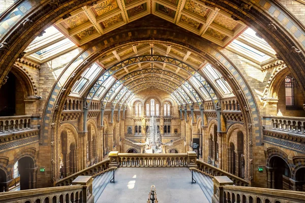 London United Kingdom May 2018 Natural History Museum Houses Vast — Stock Photo, Image