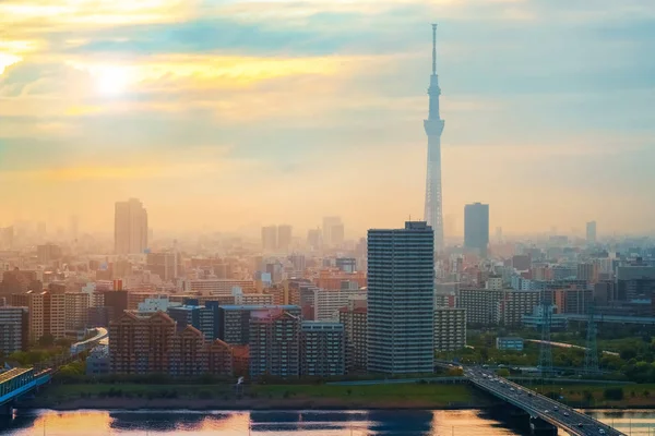 Vue Panoramique Ville Tokyo Capitale Japon Crépuscule — Photo