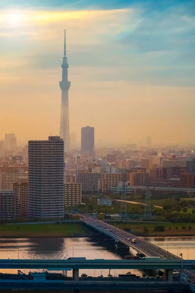 Vista Panoramica Della Città Tokyo Capitale Del Giappone Crepuscolo — Foto Stock