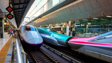 Tokyo, Japonya - 21 Nisan 2018: Japon Shinkansen yüksek hızlı tren (solda) Hayabusa ve Komachi (sağ) birleştirme birlikte seyahat kuzey doğusunda Tokyo Japonya