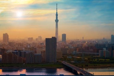 Alacakaranlık sermaye şehir Japonya Tokyo şehir manzaralı görünüm 