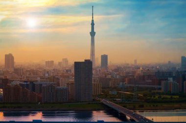 Scenic view of the city of tokyo, the capital city of Japan in twilight  clipart