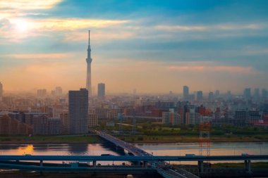 Alacakaranlık sermaye şehir Japonya Tokyo şehir manzaralı görünüm 