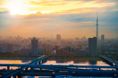 Alacakaranlık sermaye şehir Japonya Tokyo şehir manzaralı görünüm