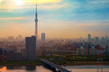 Alacakaranlık sermaye şehir Japonya Tokyo şehir manzaralı görünüm