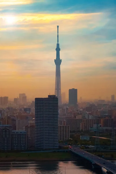 Vista Panoramica Della Città Tokyo Capitale Del Giappone Crepuscolo — Foto Stock