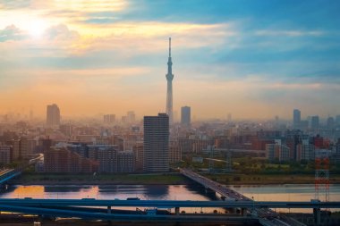 Alacakaranlık sermaye şehir Japonya Tokyo şehir manzaralı görünüm