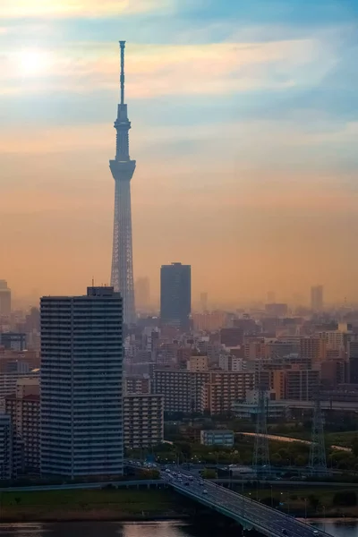 Vista Panoramica Della Città Tokyo Capitale Del Giappone Crepuscolo — Foto Stock