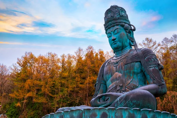 Wielki Budda Showa Daibutsu Świątyni Seiryuji Aomori Japonia — Zdjęcie stockowe