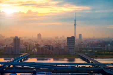 Alacakaranlık sermaye şehir Japonya Tokyo şehir manzaralı görünüm 