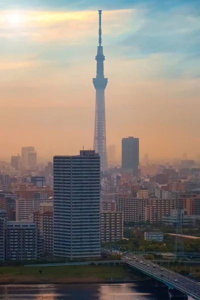 Vue Panoramique Ville Tokyo Capitale Japon Crépuscule — Photo