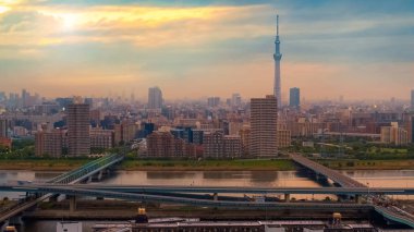 Alacakaranlık sermaye şehir Japonya Tokyo şehir manzaralı görünüm