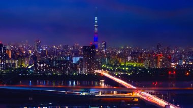 Alacakaranlık sermaye şehir Japonya Tokyo şehir manzaralı görünüm