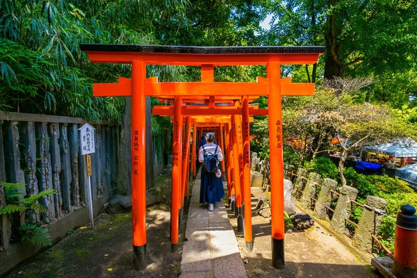 Porte Torii Santuario Nezu Tokyo Giappone — Foto Stock