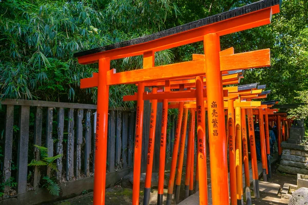 Puertas Madera Torii Santuario Nezu Tokio Japón —  Fotos de Stock