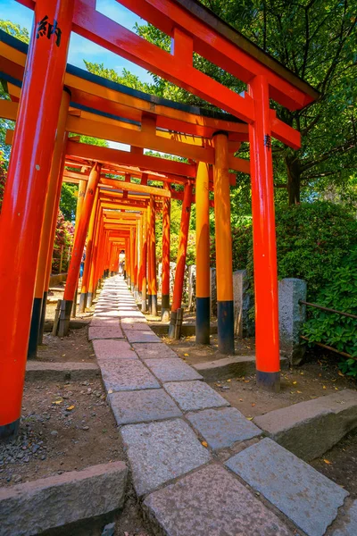 Tóquio Japão Abril 2018 Santuário Nezu Estabelecido 1705 Dos Lugares — Fotografia de Stock