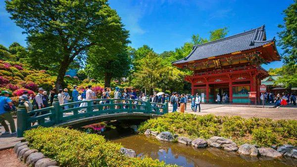 2018年4月29日 根津神社成立于 1705年 是该市最古老的祭祀场所之一 以其杜鹃花节而闻名 早在年初就可以 — 图库照片