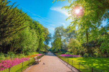 Kensington Gardens Londra, İngiltere'de güzel doğa