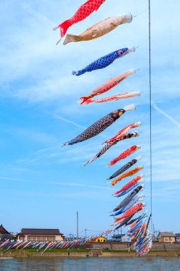 Koinobori windsocks fullbloom Kintakami Tenshochi Park, Iwate, Japan Cherry Blossom sırasında Kitakami Nehri'nin üzerinde sazan şeklinde