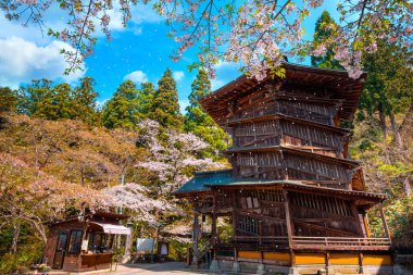 Aizu Sazaedo Tapınağı: Fukushima, Japan kiraz çiçeği ile 