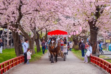 Iwate, Japan - 22 Nisan 2018: A at arabası taşıma turist bir grup Kirazlar Kitakami Tenshochi Park, Tohoku bölgedeki en iyi kiraz-görüntüleme noktalarından biri tünel üzerinden rulo