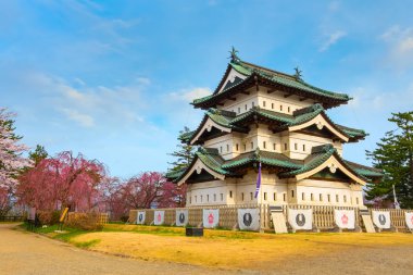 Tam çiçeklenme Sakura - Cherry Blossom Hirosaki Park, en güzel sakura Tohoku bölgesi ve Japonya spot Hirosaki kalesinde