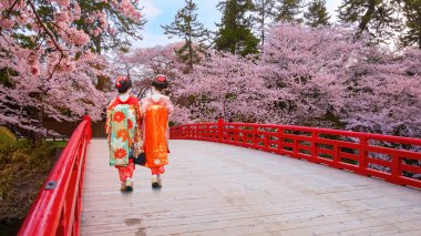 Sakura - Cherry Blossom Hirosaki Park, Japonya Japon geyşa ile dolu çiçek