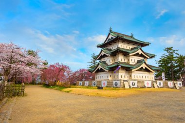 Full bloom Sakura - Cherry Blossom at Hirosaki castle in Hirosaki park, one of the most beautiful sakura spot in Tohoku region and Japan clipart