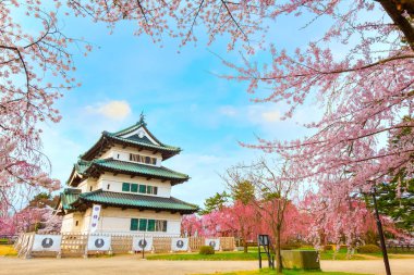 Tam çiçeklenme Sakura - Cherry Blossom Hirosaki Park, en güzel sakura Tohoku bölgesi ve Japonya spot Hirosaki kalesinde