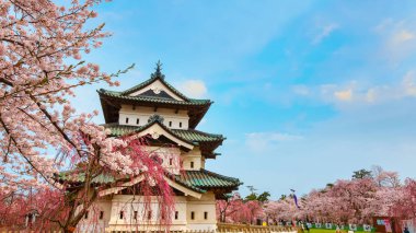 Tam çiçeklenme Sakura - Cherry Blossom Hirosaki Park, en güzel sakura Tohoku bölgesi ve Japonya spot Hirosaki kalesinde