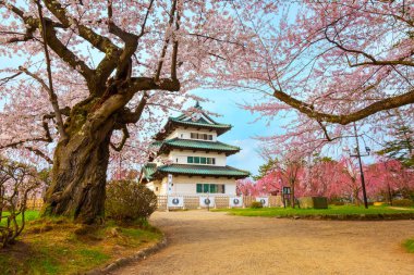 Tam çiçeklenme Sakura - Cherry Blossom Hirosaki Park, en güzel sakura Tohoku bölgesi ve Japonya spot Hirosaki kalesinde