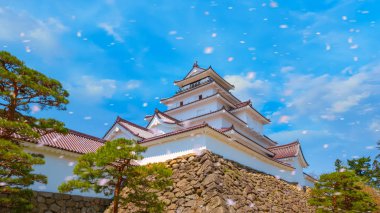 Aizuwakamatsu Kalesi ve cherry blossom Fukushima, Japan Aizuwakamatsu, Japonya - 21 Nisan 2018: Aizu-Wakamatsu Kalesi ve kiraz çiçeği inşa aşina Naomori 1384 yılında, Tenshu, en büyük kule tarafından 1965 beton'te yeniden yapıldı.