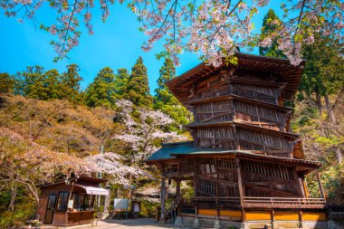 Aizu Sazaedo Tapınağı: Fukushima, Japan kiraz çiçeği ile 