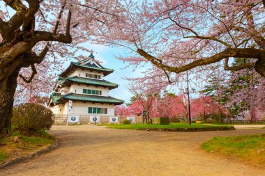 Tam çiçeklenme Sakura - Cherry Blossom Hirosaki Park, en güzel sakura Tohoku bölgesi ve Japonya spot Hirosaki kalesinde
