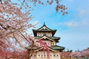 Tam çiçeklenme Sakura - Cherry Blossom Hirosaki Park, en güzel sakura Tohoku bölgesi ve Japonya spot Hirosaki kalesinde