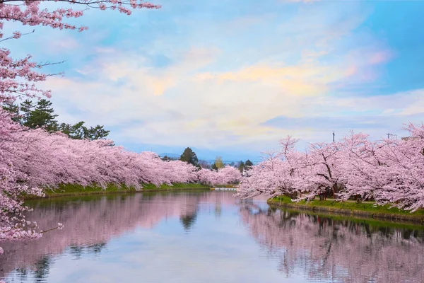 Tohoku Bölgesi Japonya Nın Güzel Sakura Yerlerinden Biri Olan Hirosaki — Stok fotoğraf