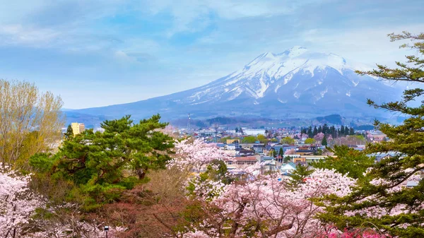 Full Blom Sakura Cherry Blossom Hirosaki Park Vackraste Sakura Plats — Stockfoto