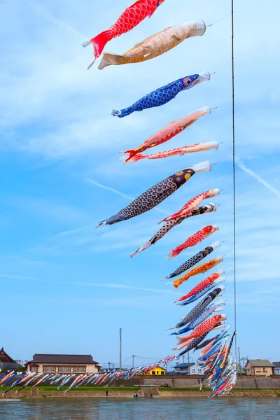 Koinobori Karpfenförmige Windsäcke Über Dem Kitakami Fluss Während Der Kirschblüte — Stockfoto