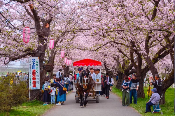 Ивате Япония Апреля 2018 Года Коляска Лошадьми Перевозит Группу Туристов — стоковое фото